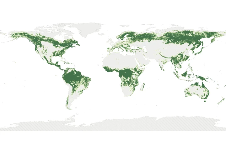 Forest World Map · Web data visualization